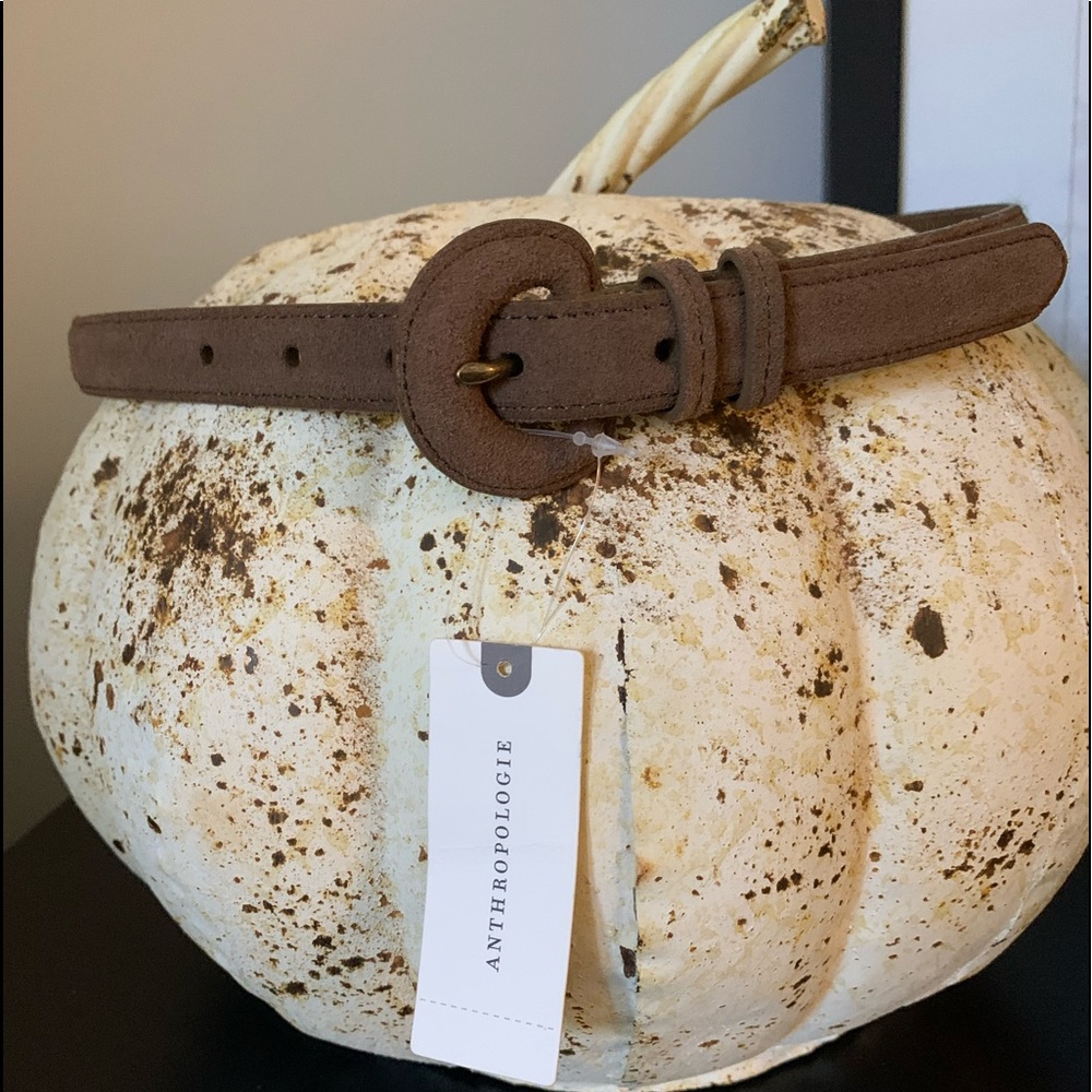 NWT ANTHROPOLOGIE SUEDE BELT, M